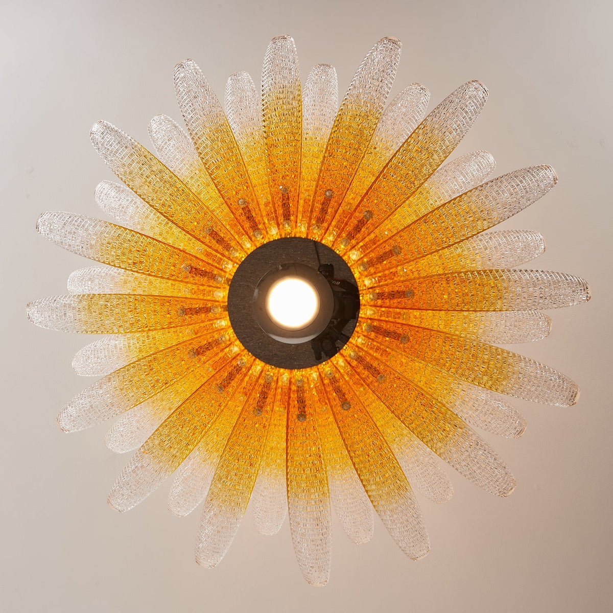 Chrysant candelabru