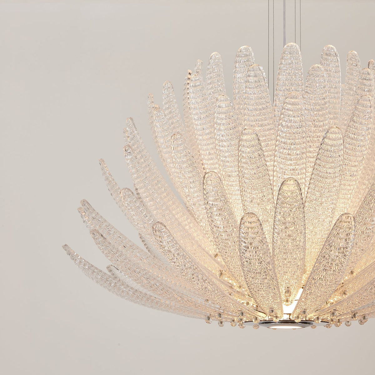 Chrysant candelabru