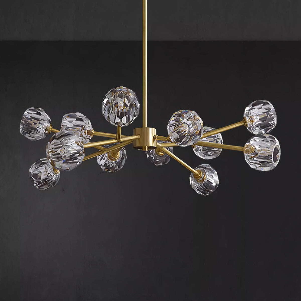 Reniella candelabru