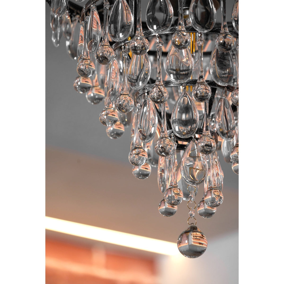 Liorenora candelabru