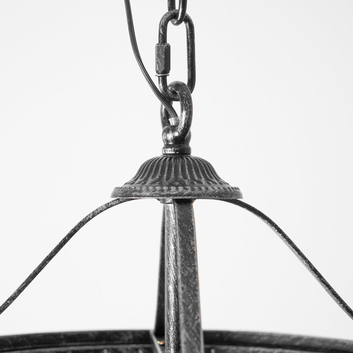 Liorenora candelabru