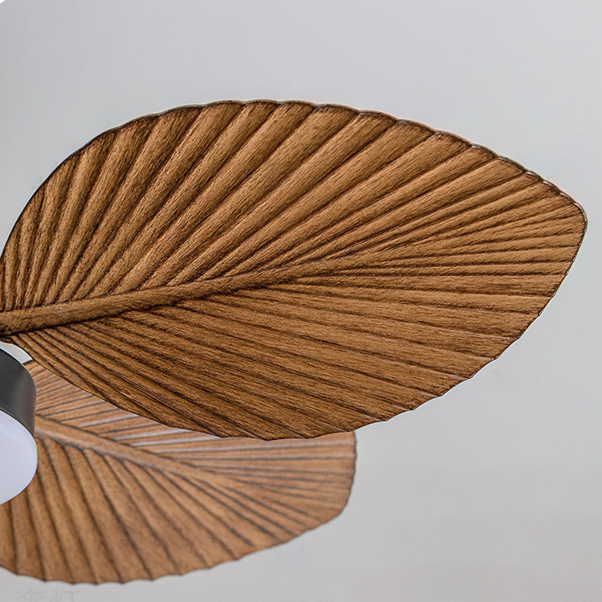 Paloma ventilator de tavan cu lumină
