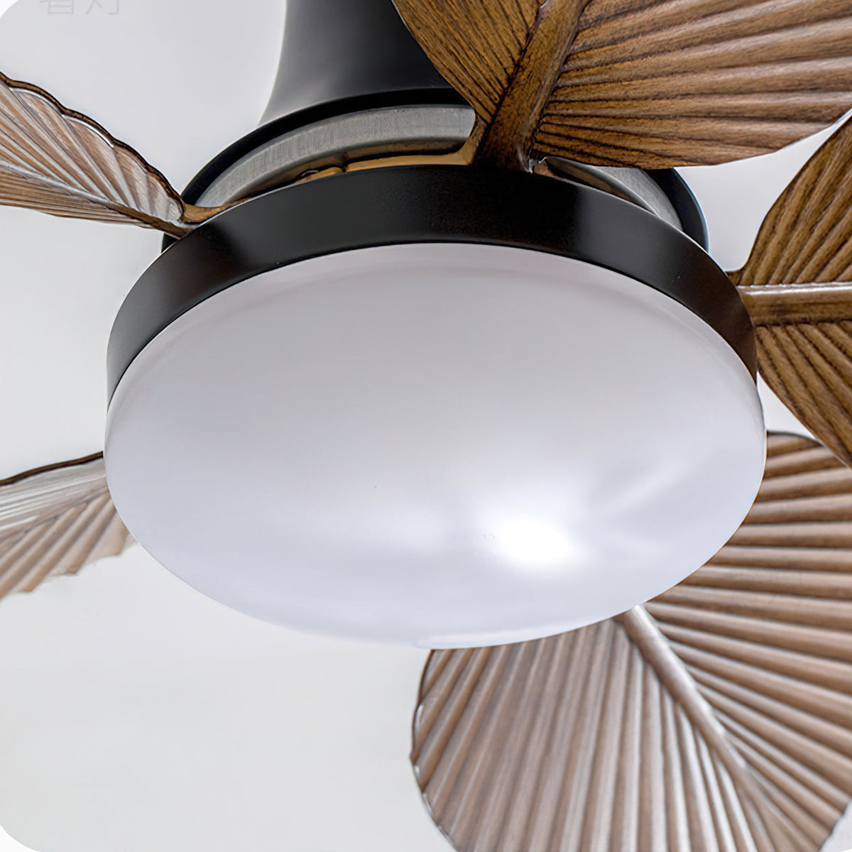 Paloma ventilator de tavan cu lumină