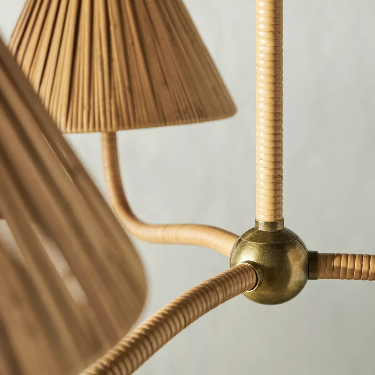 Tulia candelabru