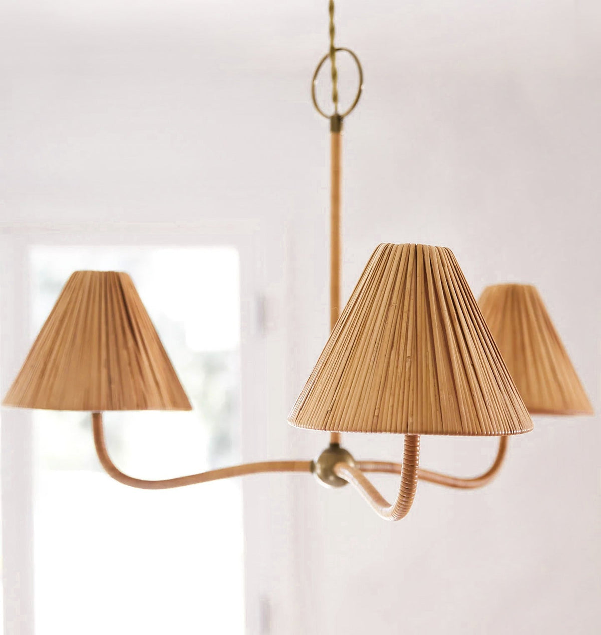 Tulia candelabru