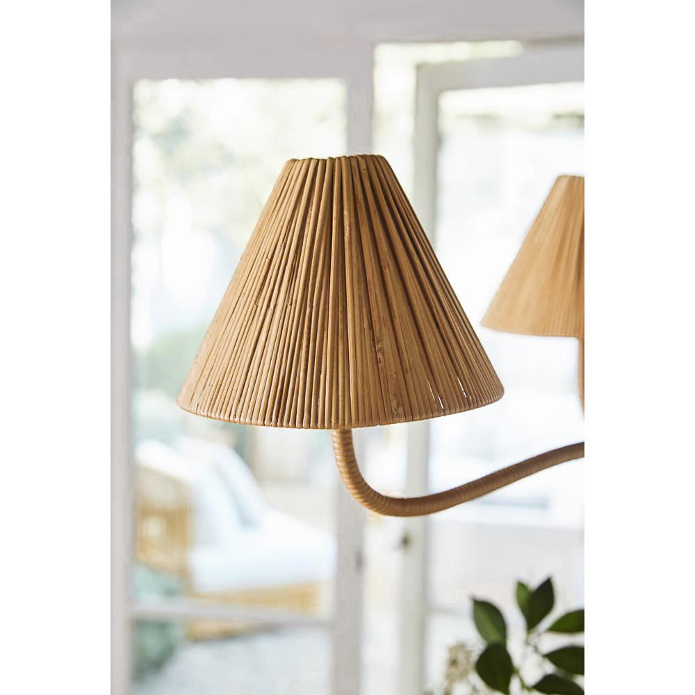 Tulia candelabru