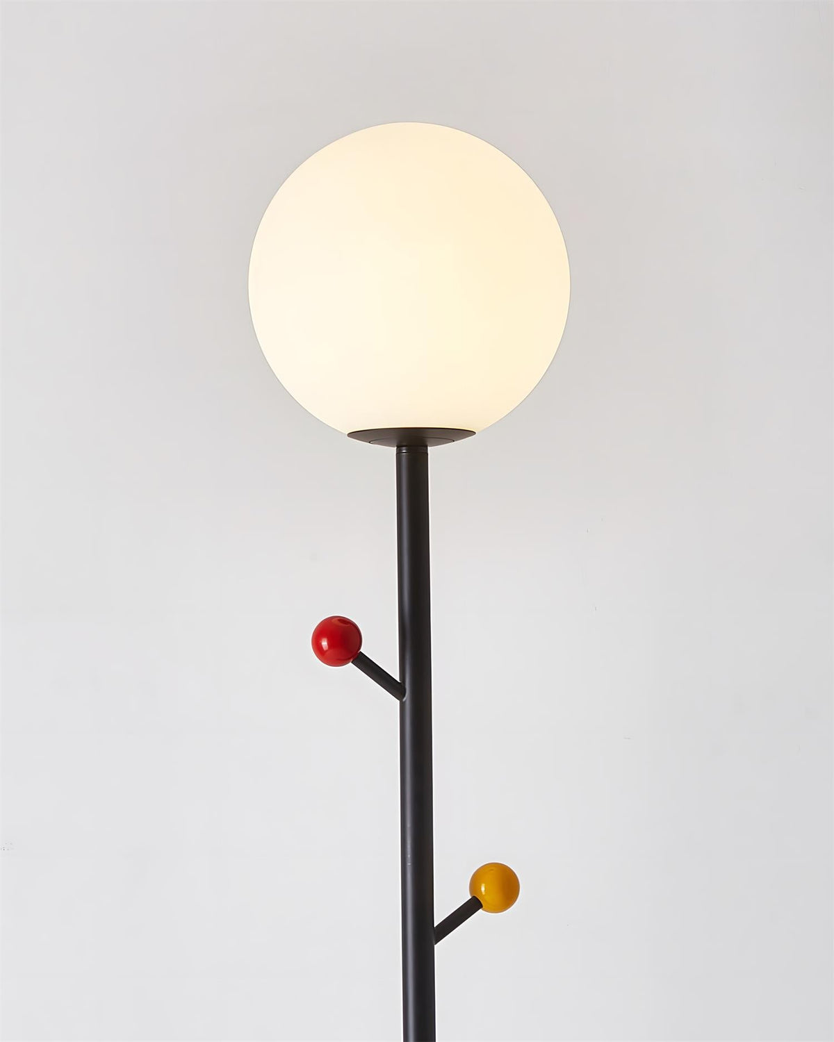 Teriiselia lampadar