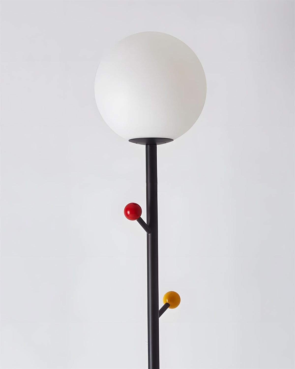 Teriiselia lampadar