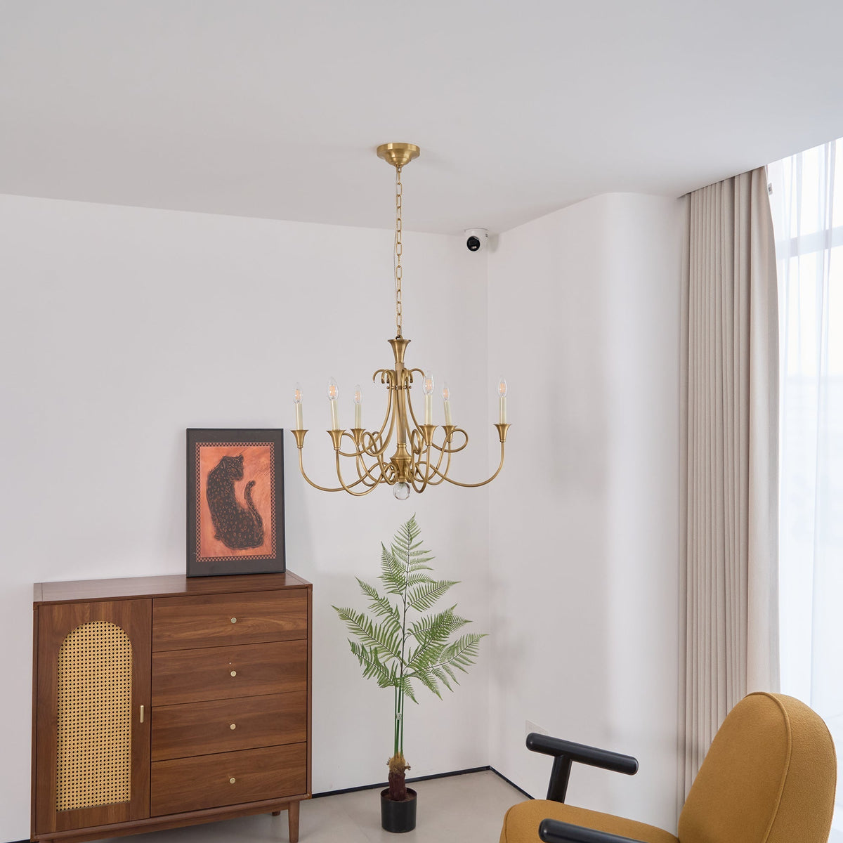 Orelelira candelabru