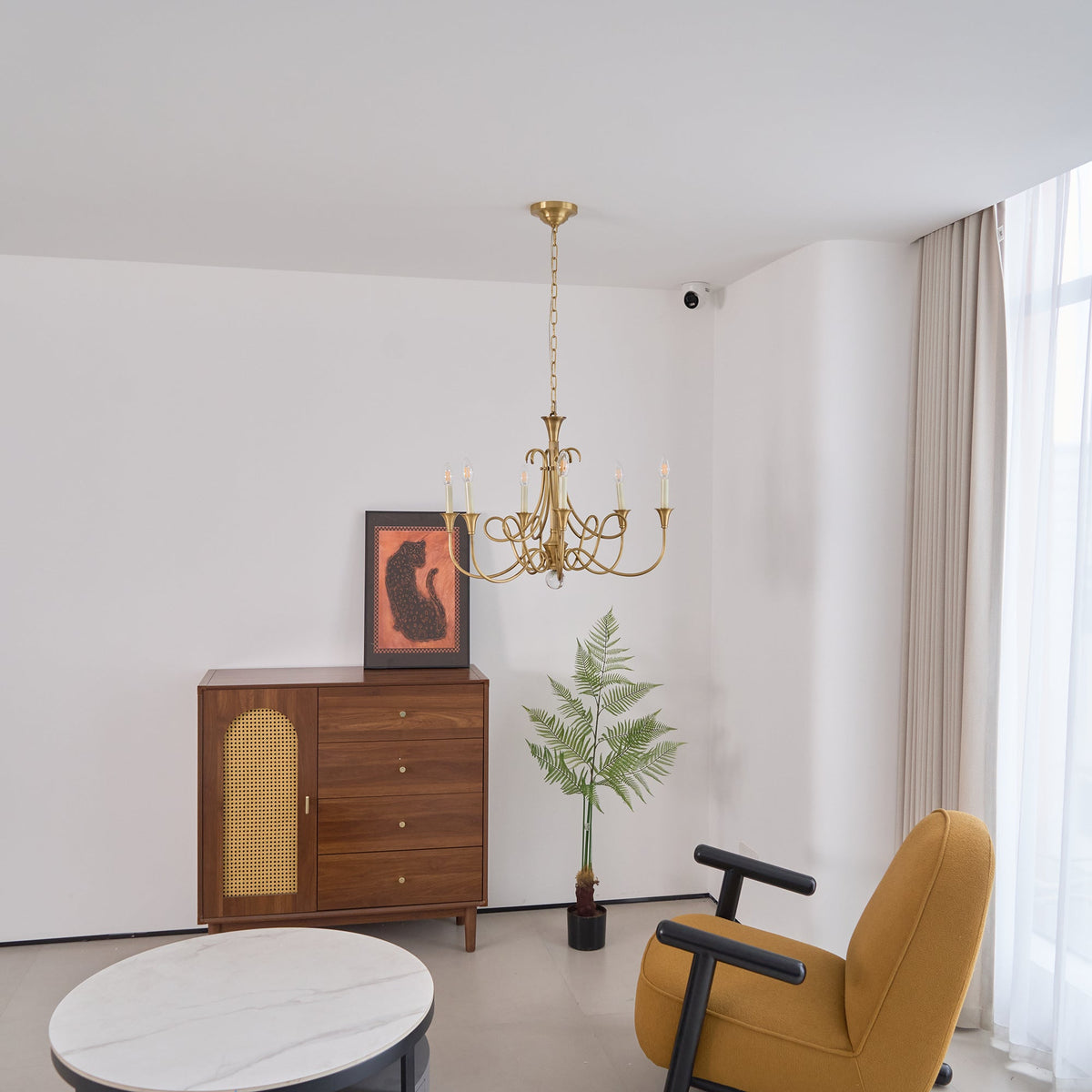Orelelira candelabru