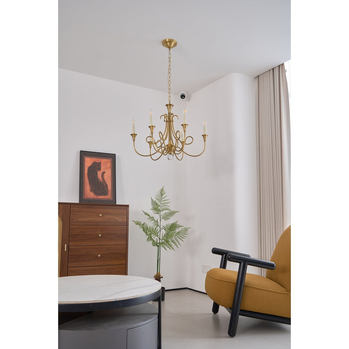 Orelelira candelabru