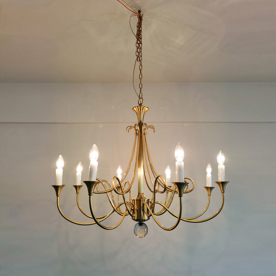 Orelelira candelabru