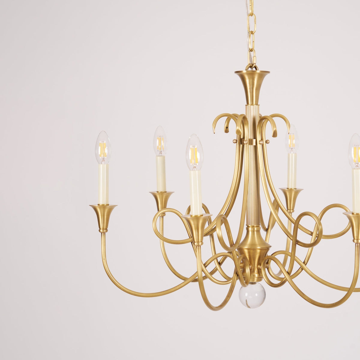 Orelelira candelabru