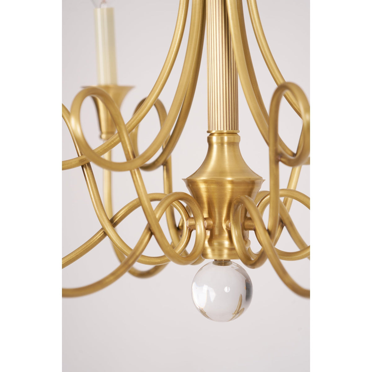 Orelelira candelabru