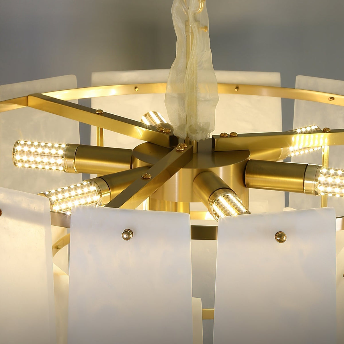 Liororora candelabru