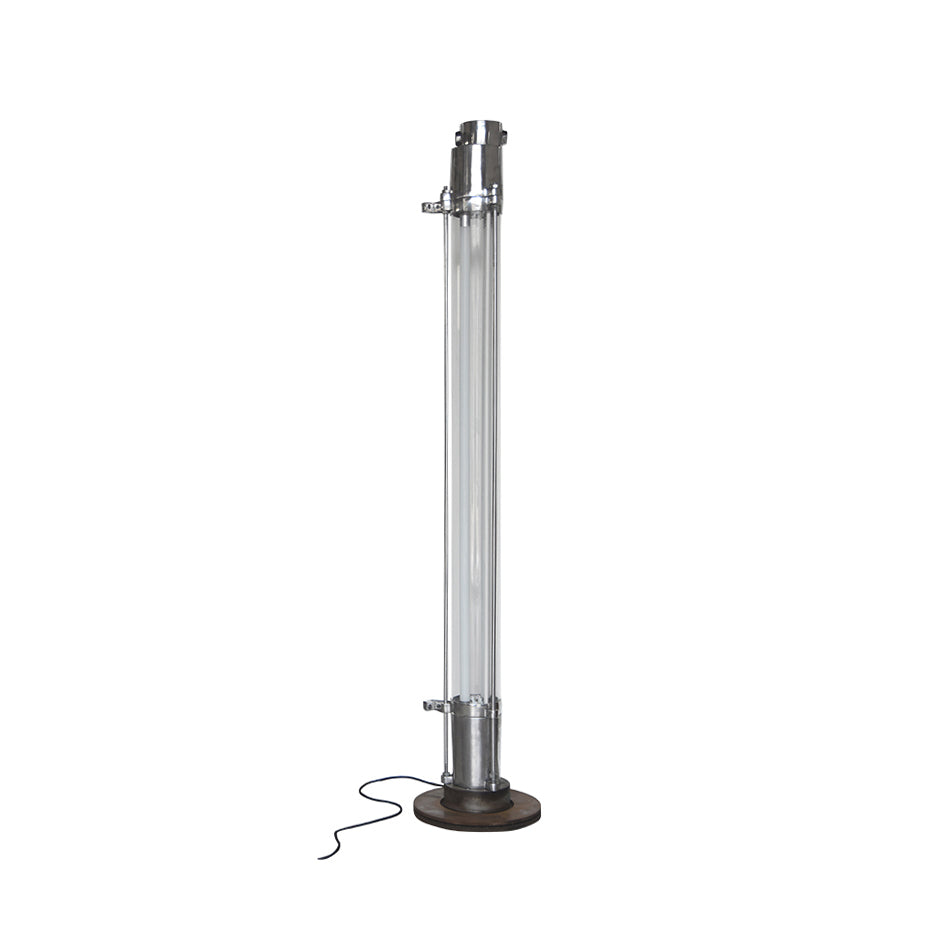 Cylus lampadar