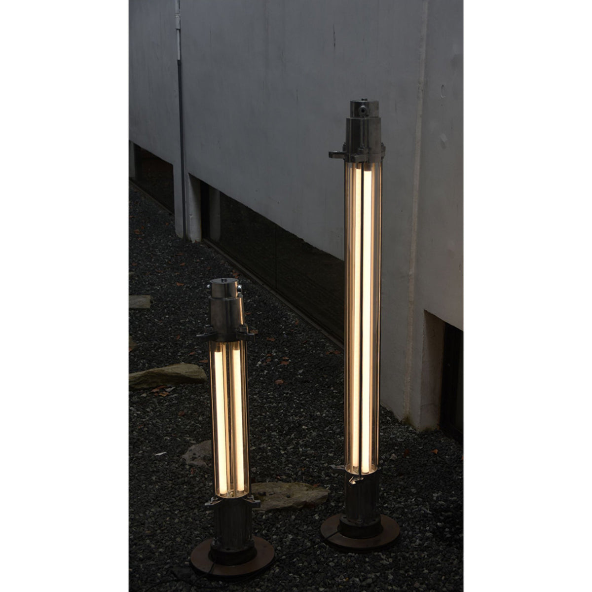 Cylus lampadar