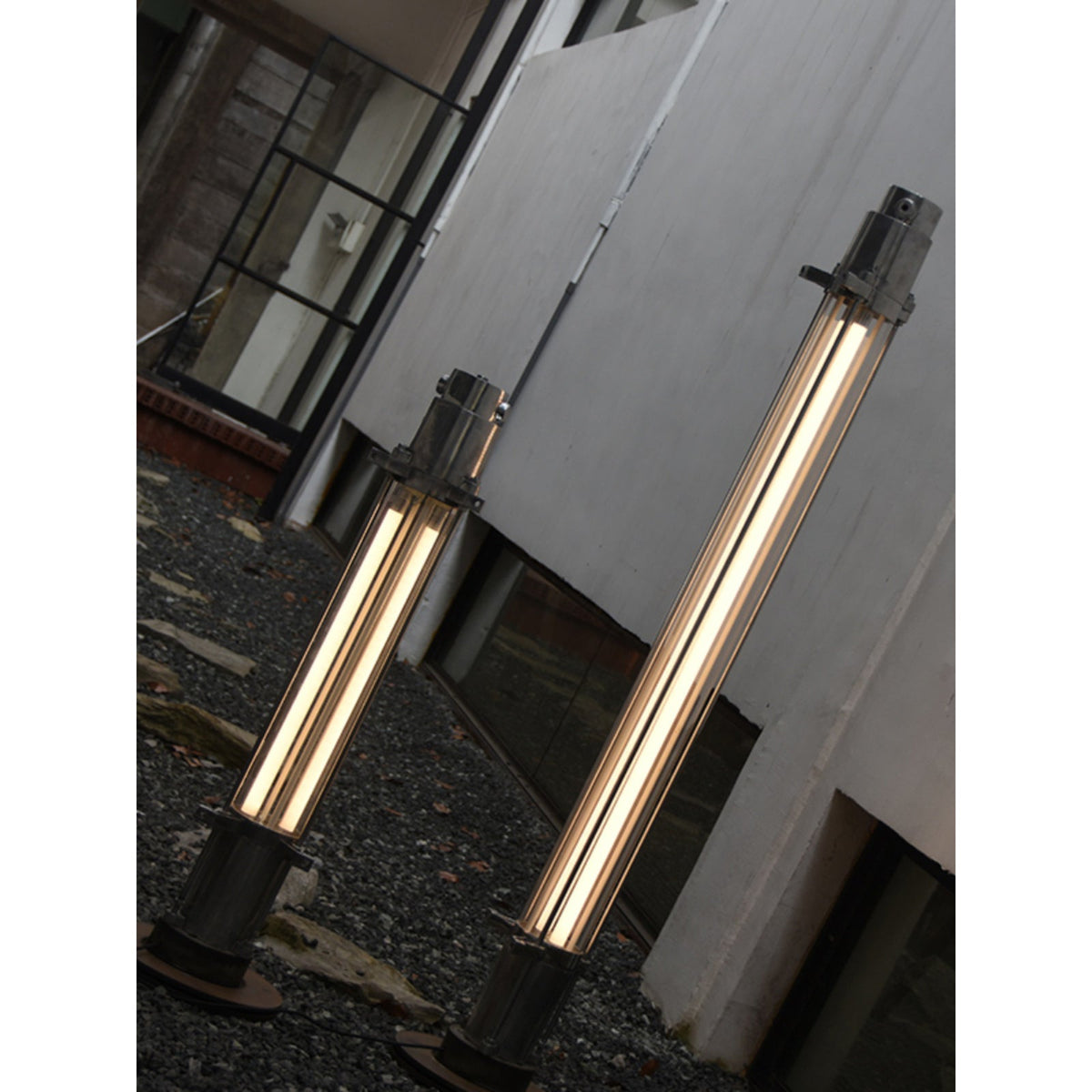 Cylus lampadar
