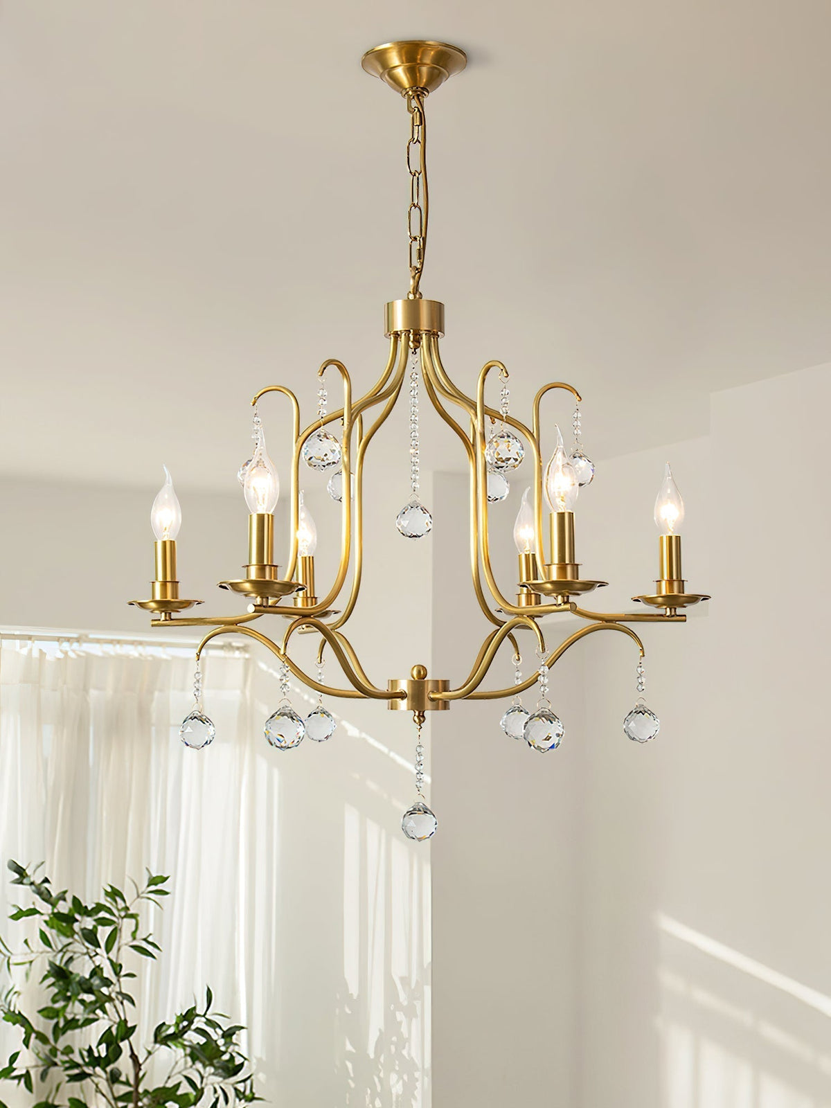 Reneora candelabru