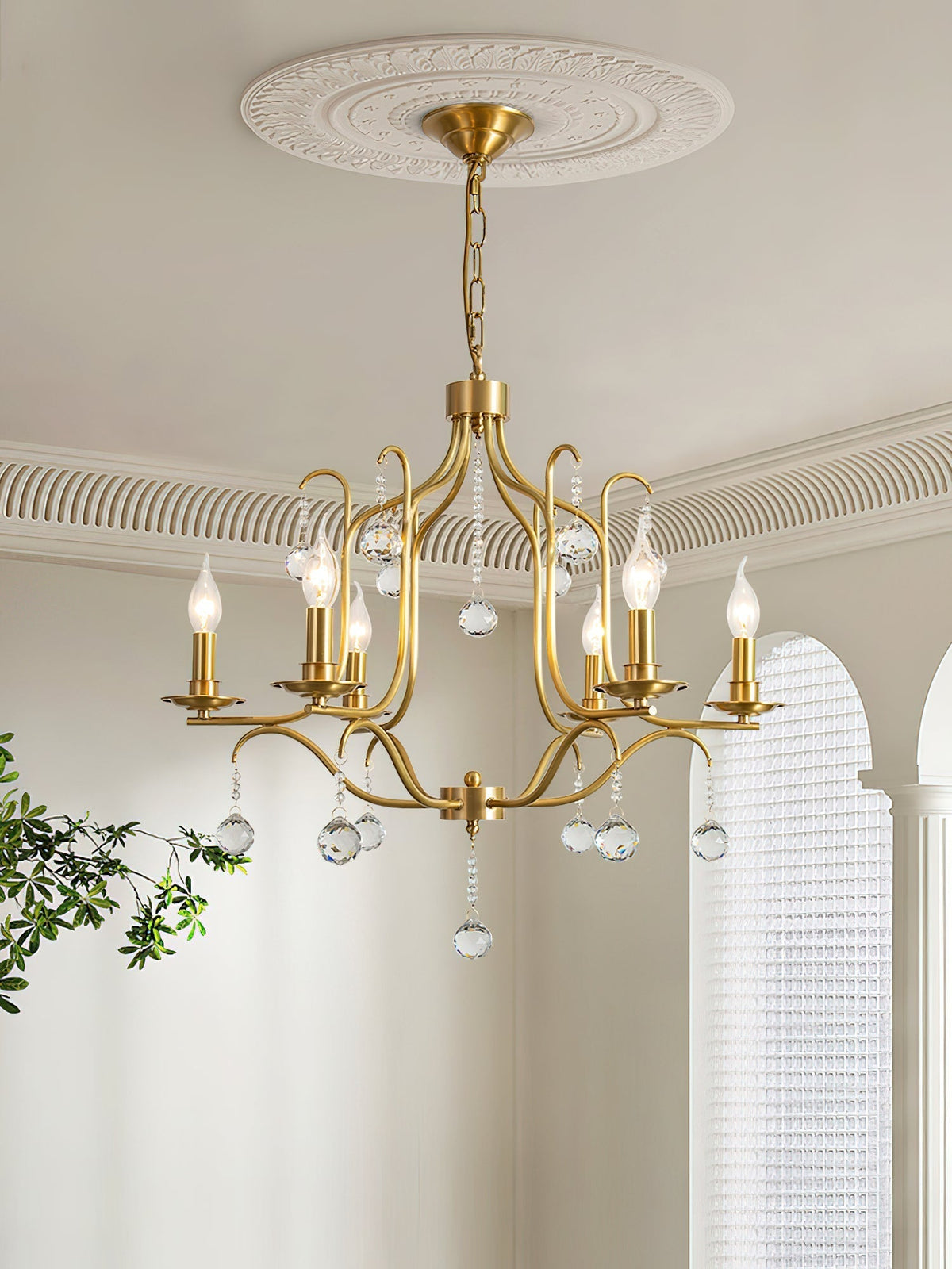 Reneora candelabru