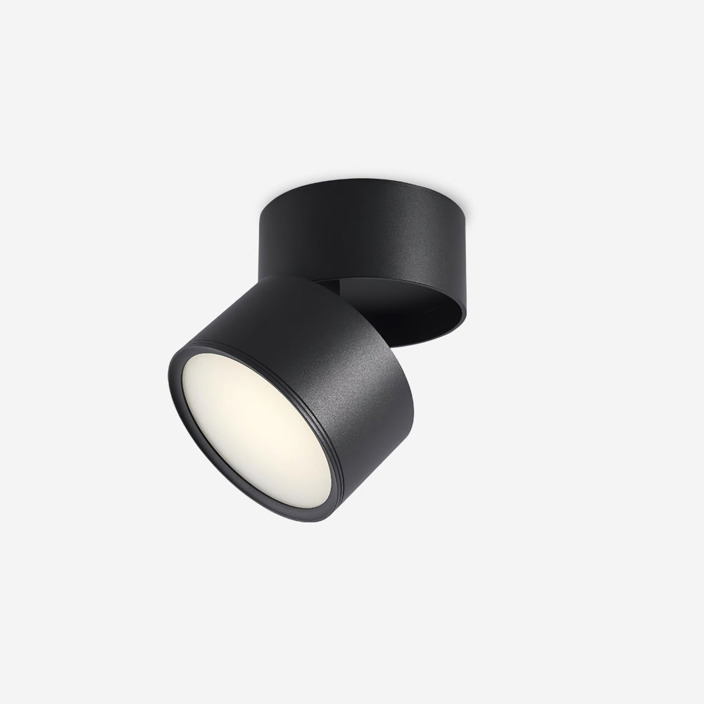 Xavo Surface Recessed Light Spot