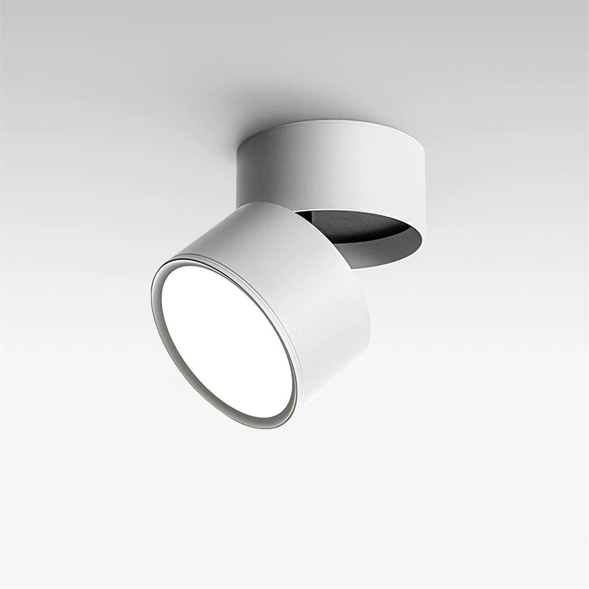 Xavo Surface Recessed Light Spot