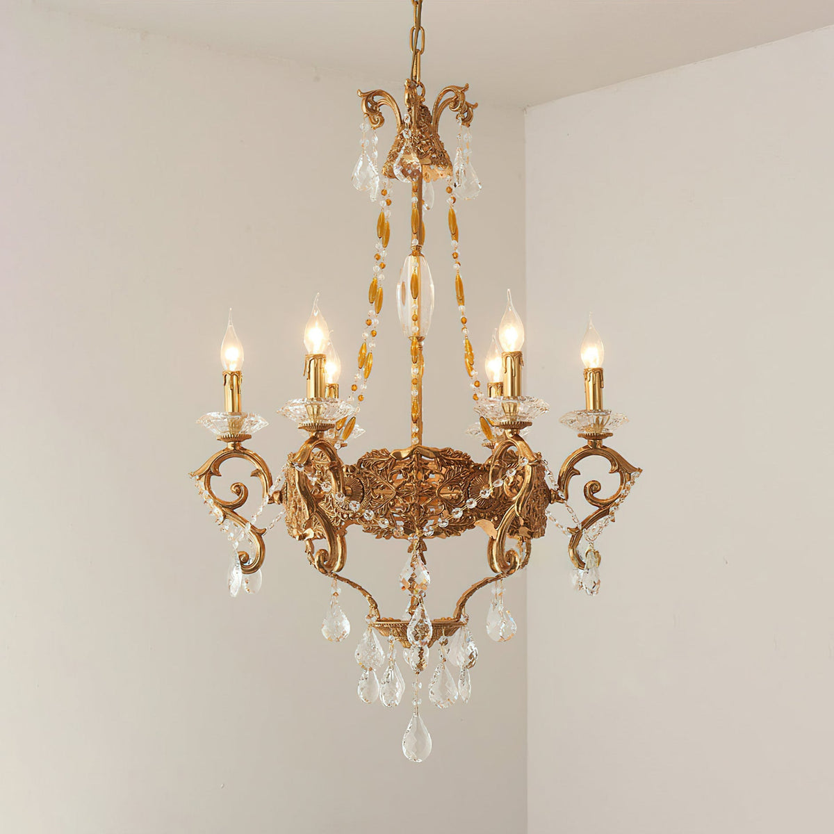Cassia candelabru