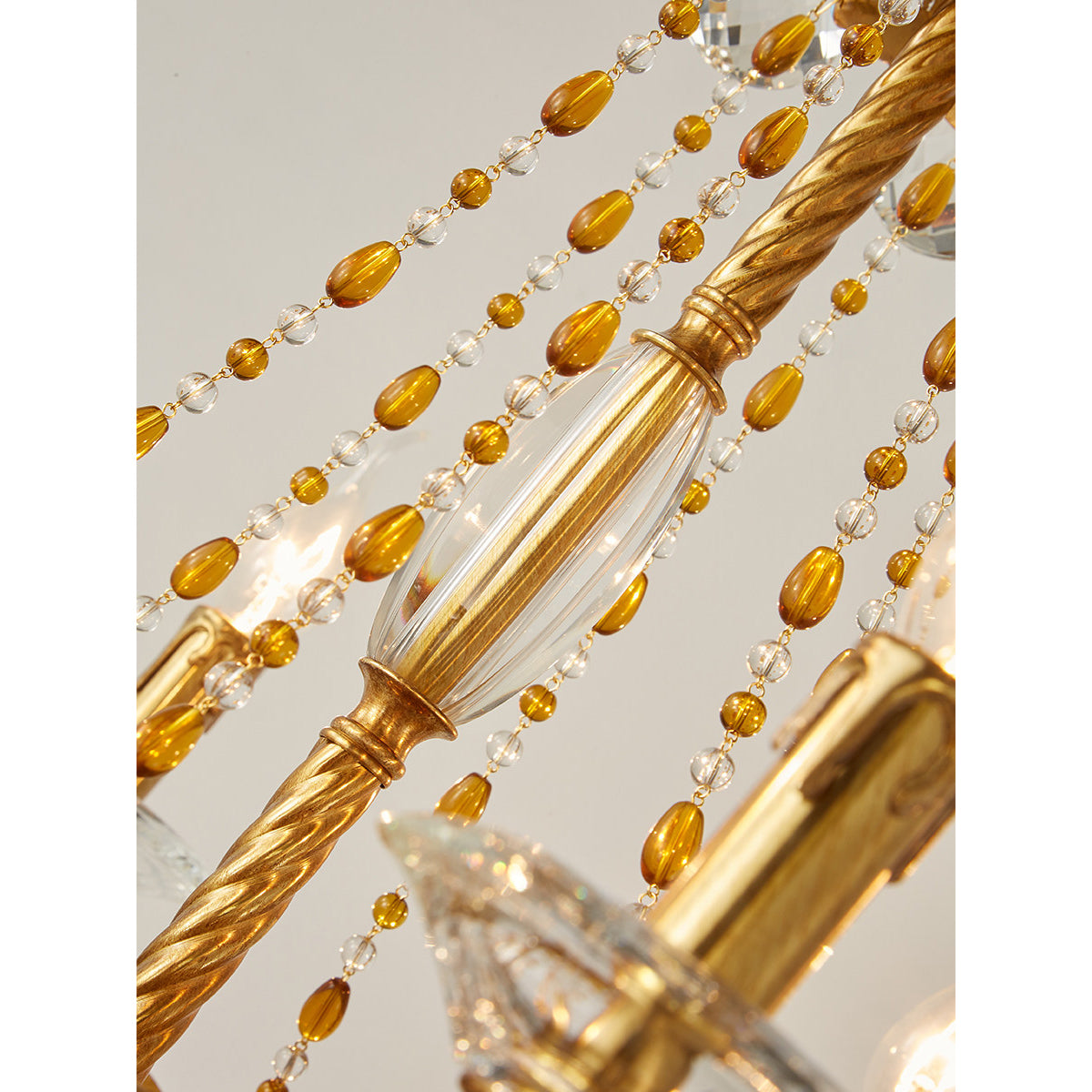 Cassia candelabru