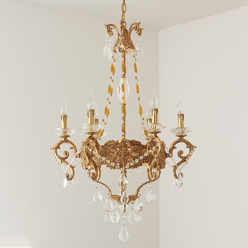 Cassia candelabru