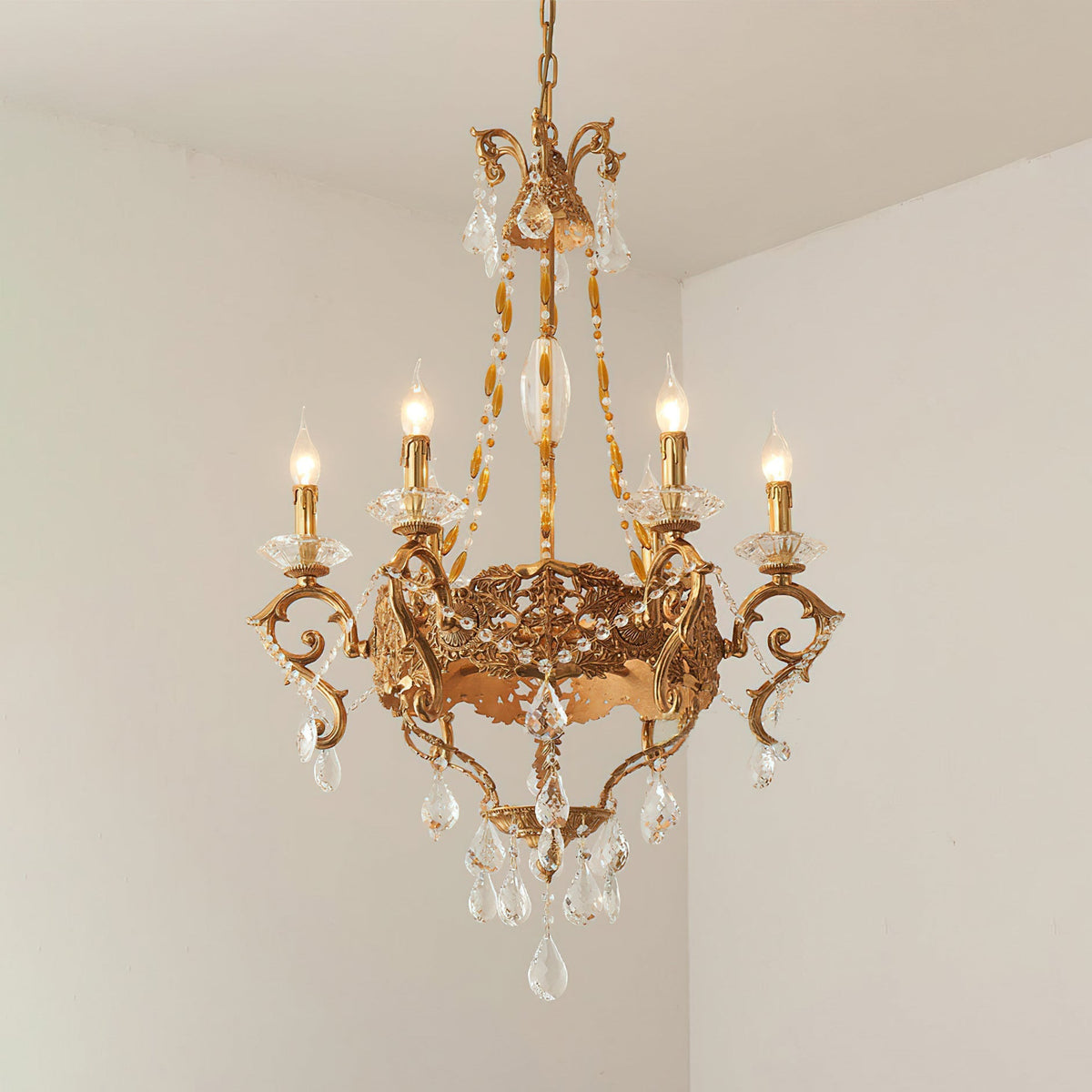 Cassia candelabru