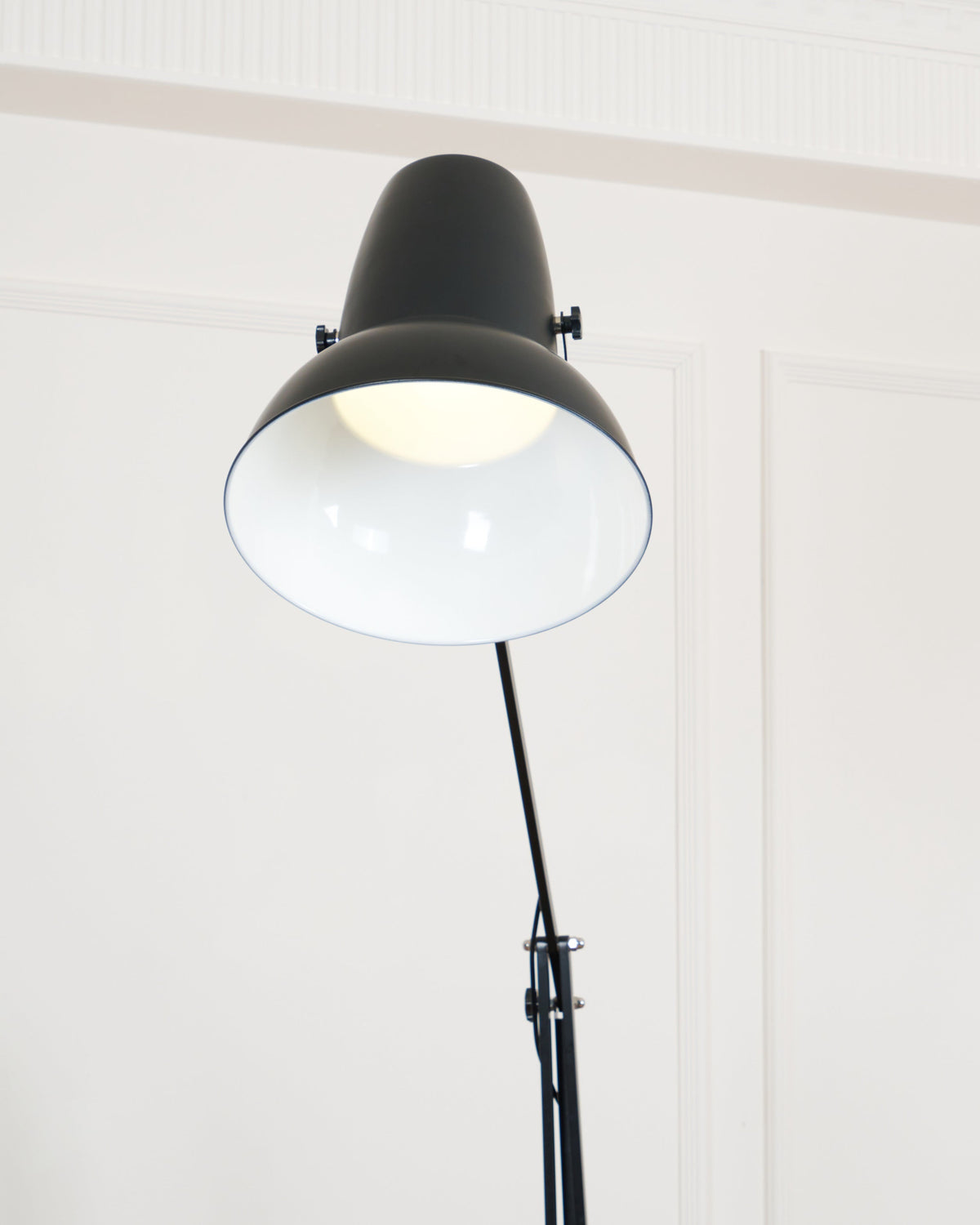 Miriselia lampadar