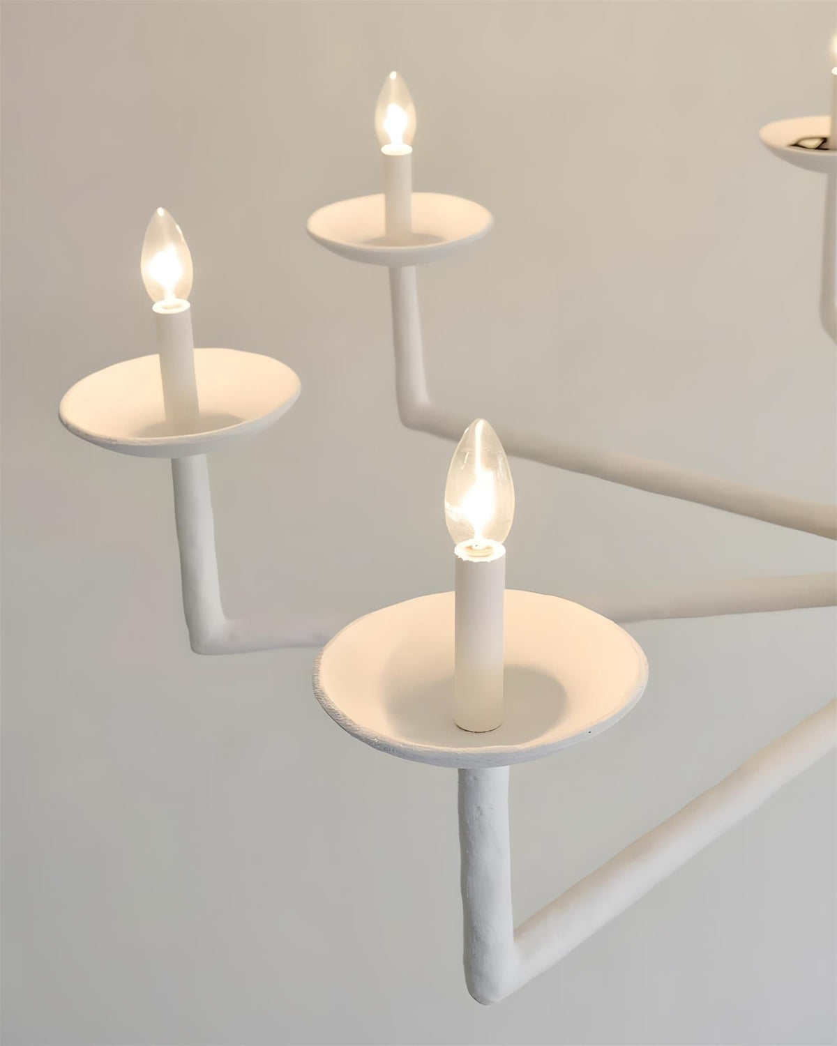 Viraelora candelabru