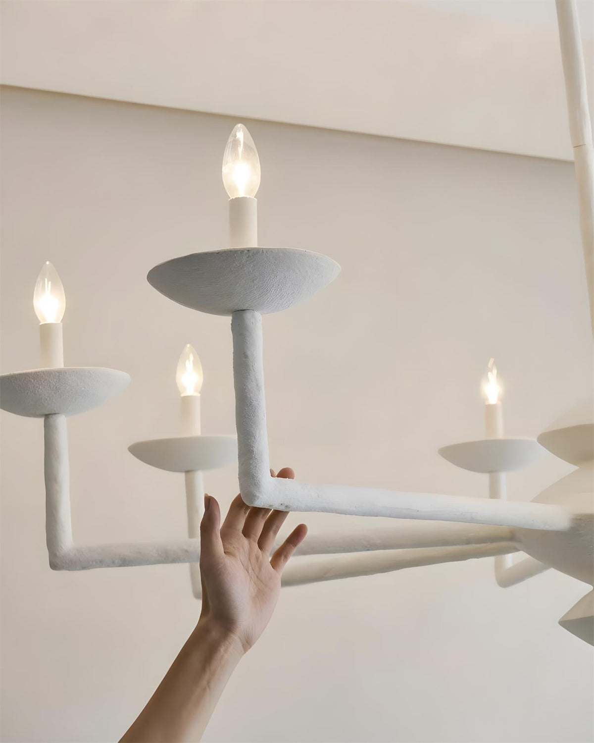 Viraelora candelabru