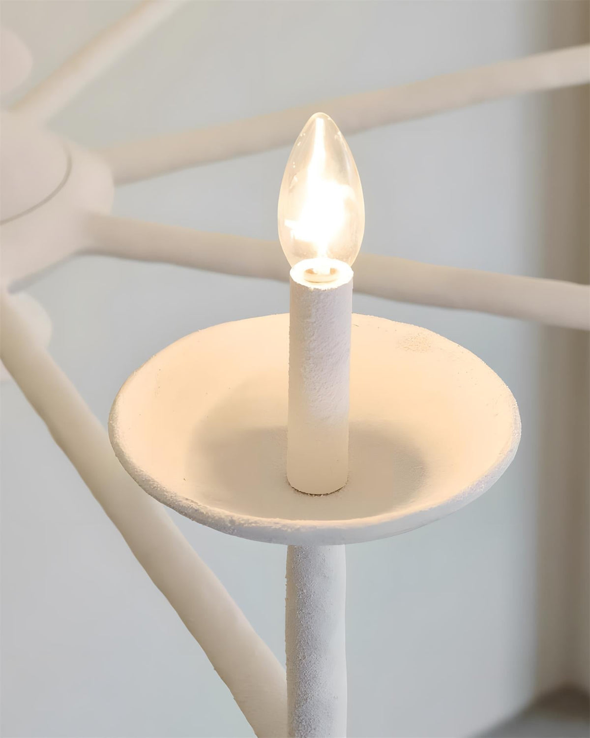 Viraelora candelabru