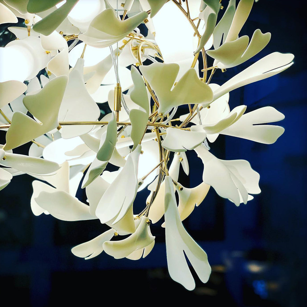 Elauira candelabru
