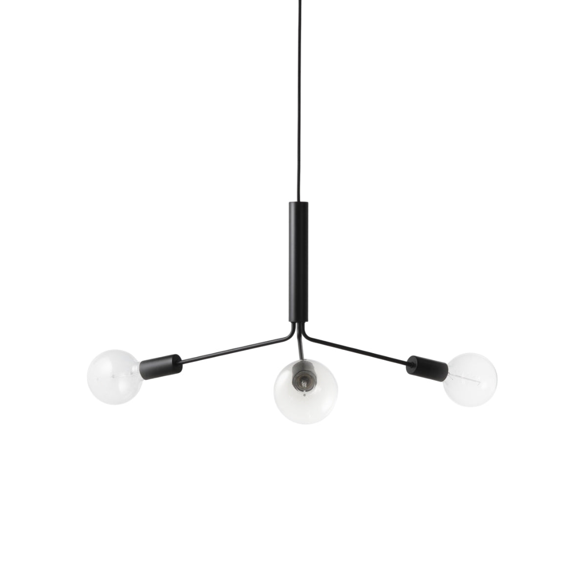 Nororaria candelabru