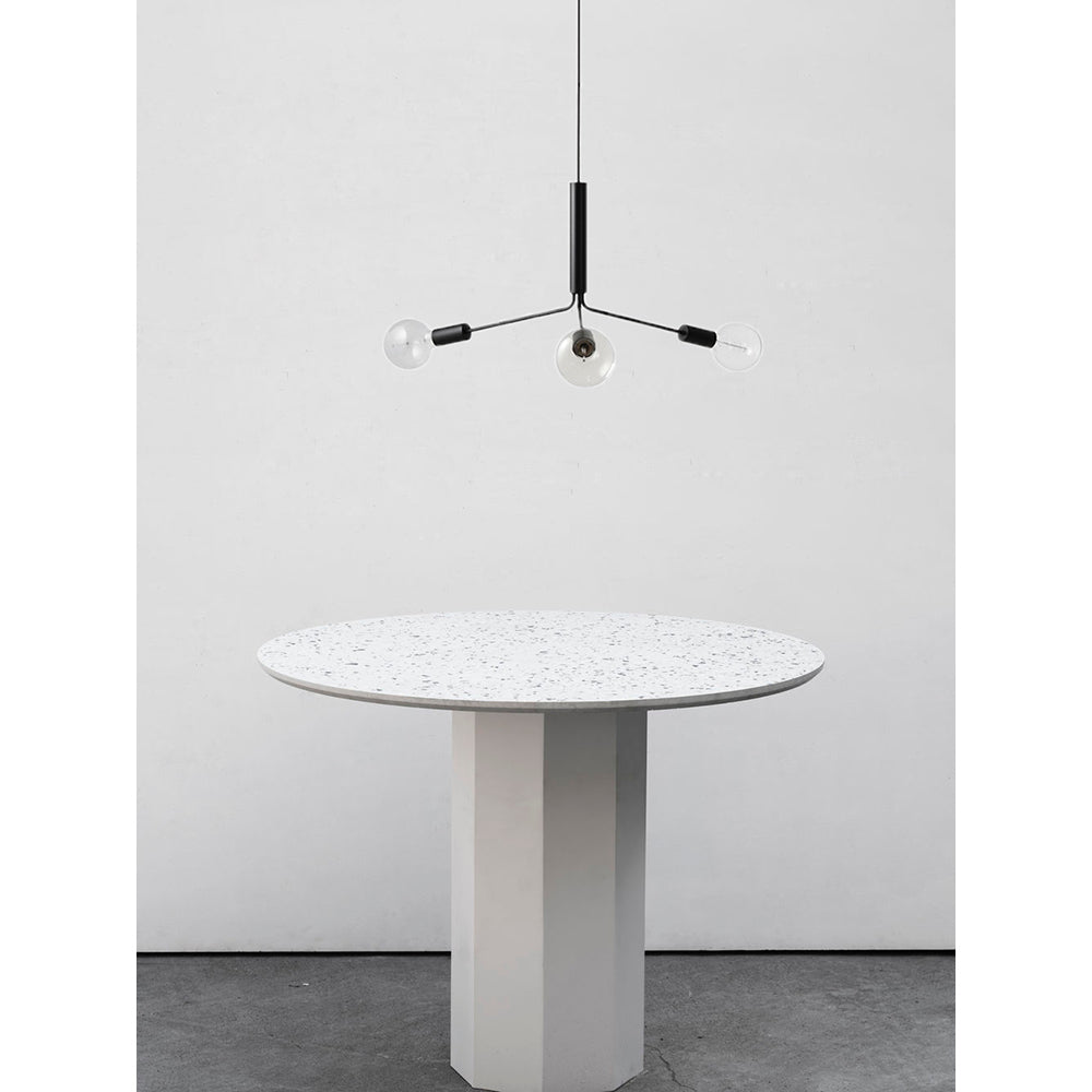 Nororaria candelabru