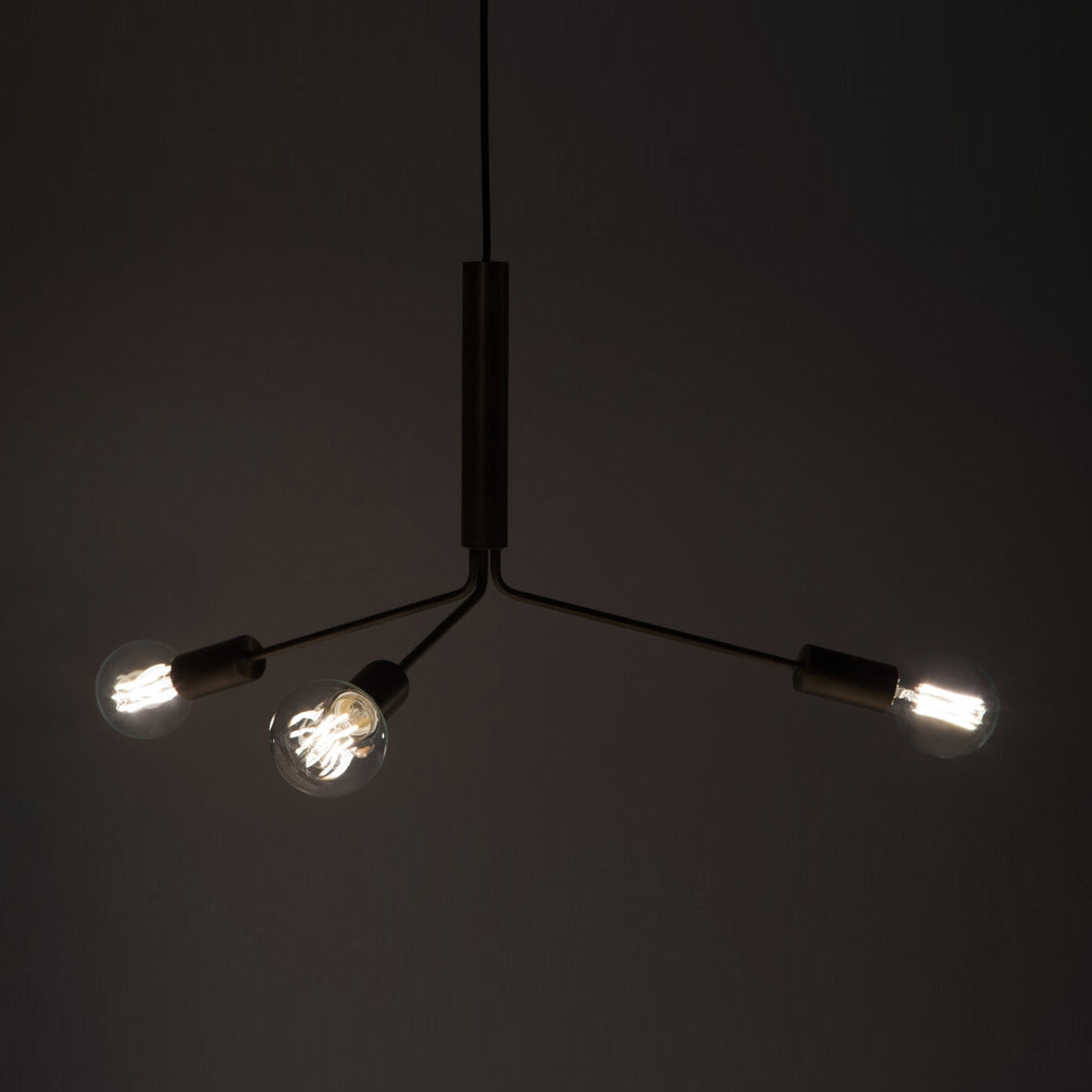 Nororaria candelabru