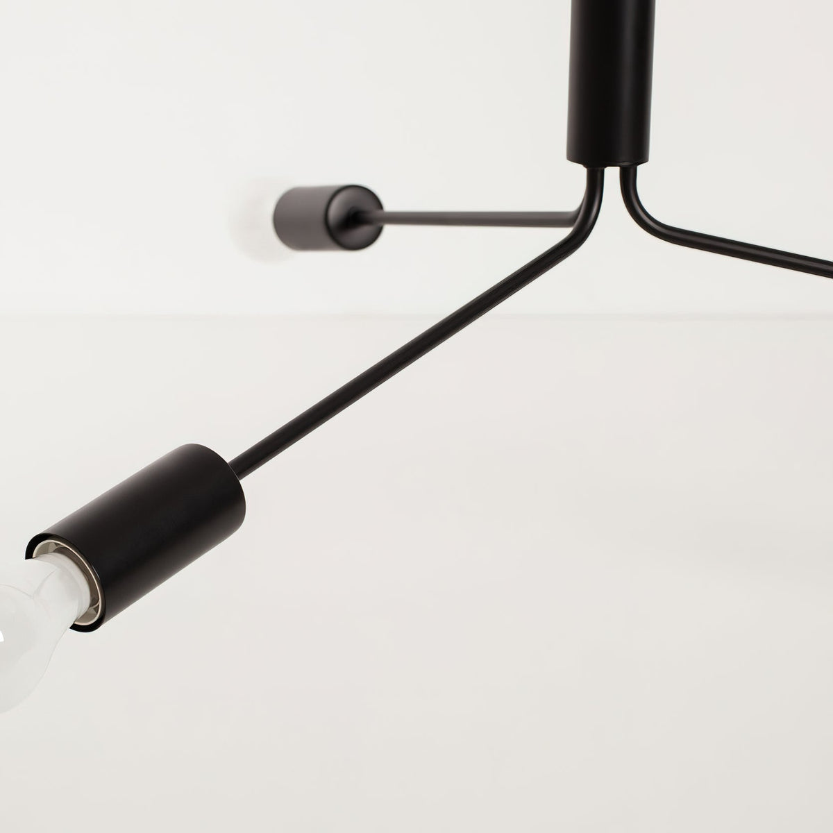 Nororaria candelabru