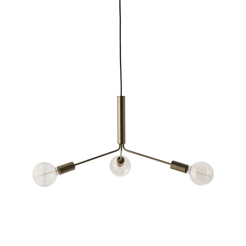 Nororaria candelabru