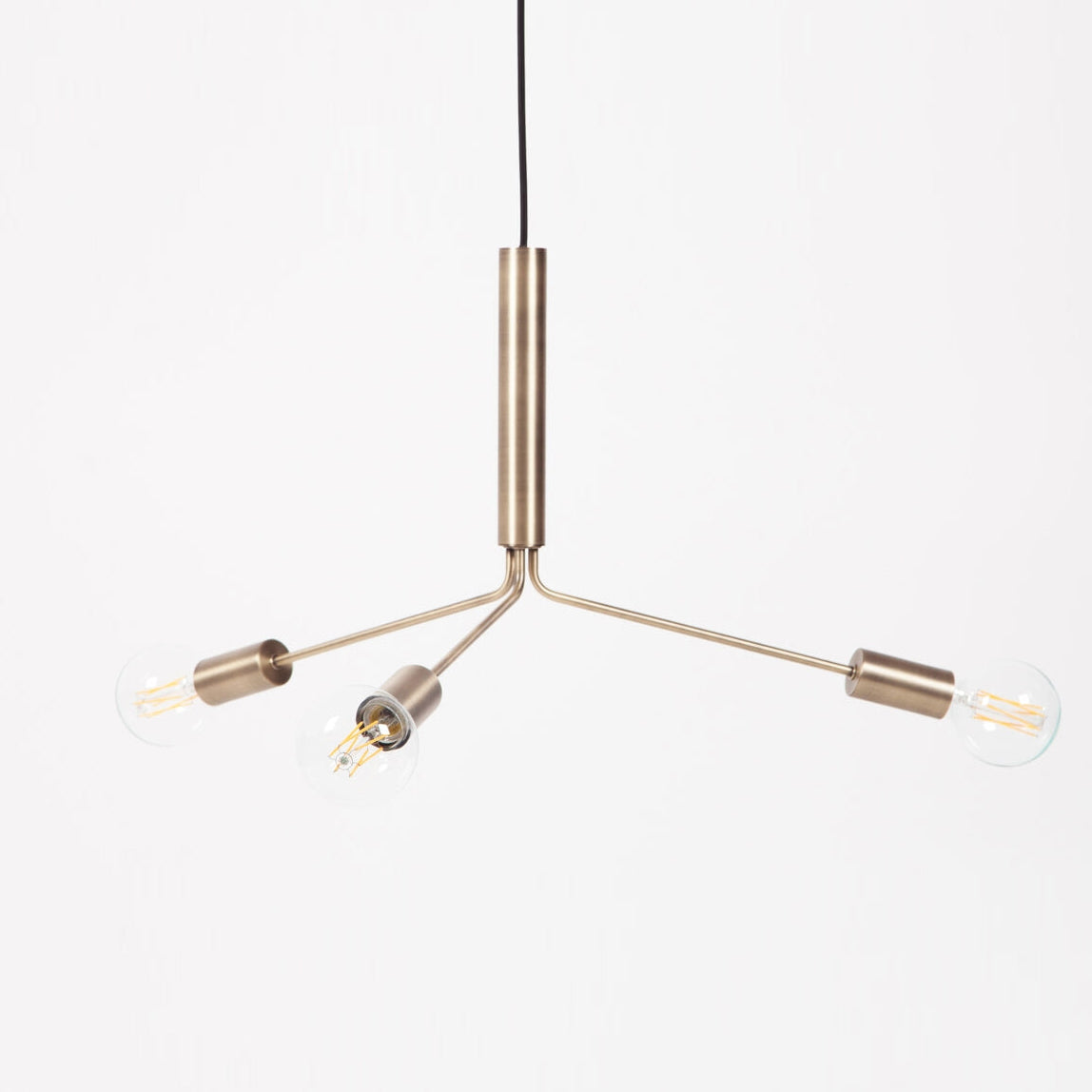 Nororaria candelabru
