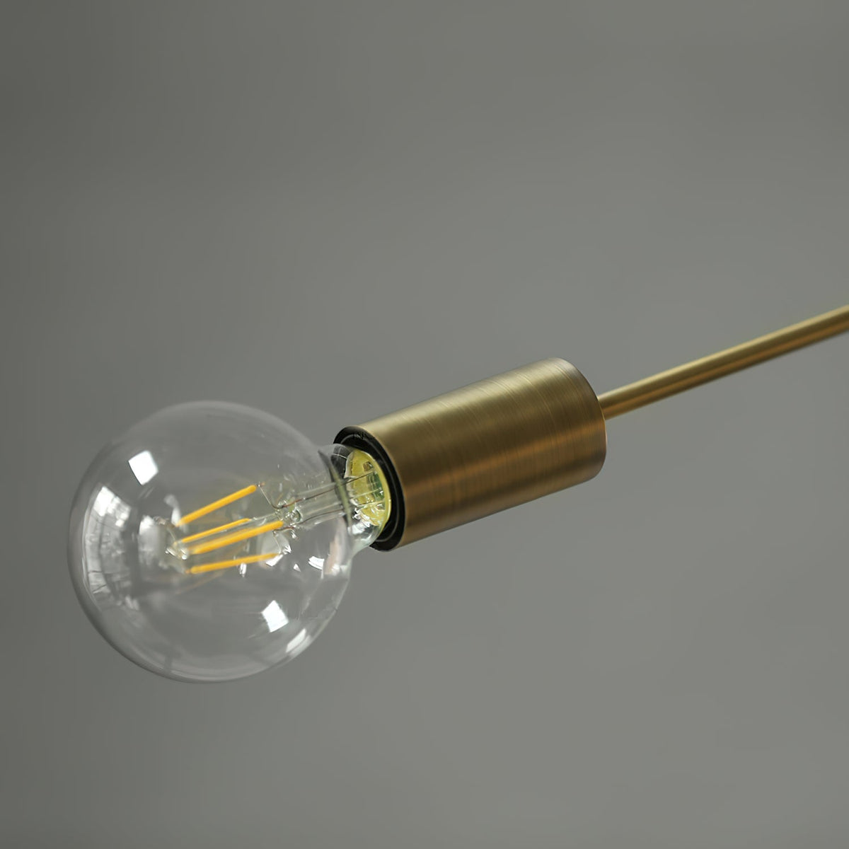 Nororaria candelabru