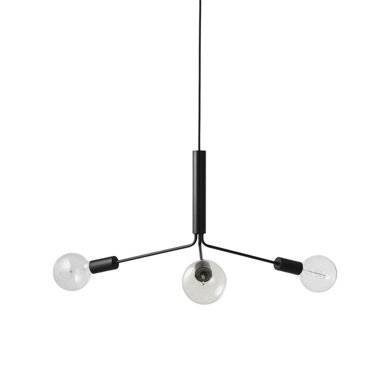 Nororaria candelabru