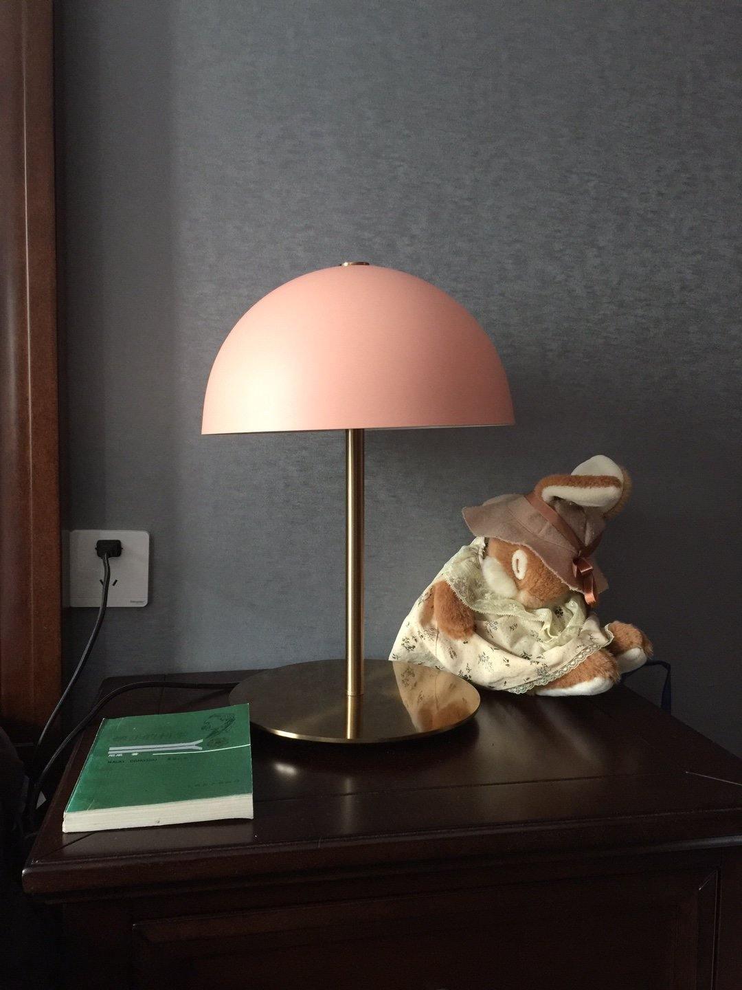 Brioth lampă de masă din acrilic în stil scandinav