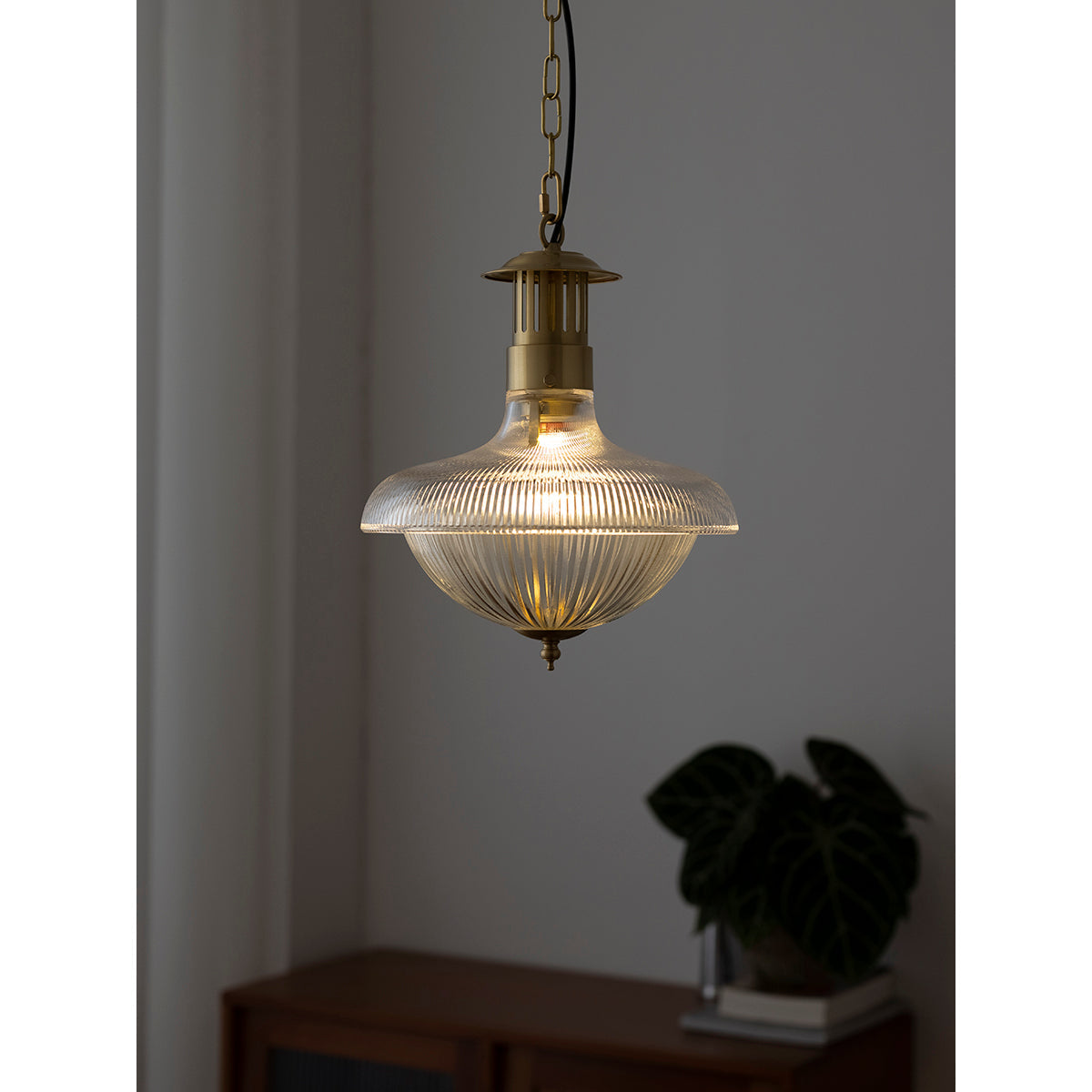 Velenora lampă suspendată