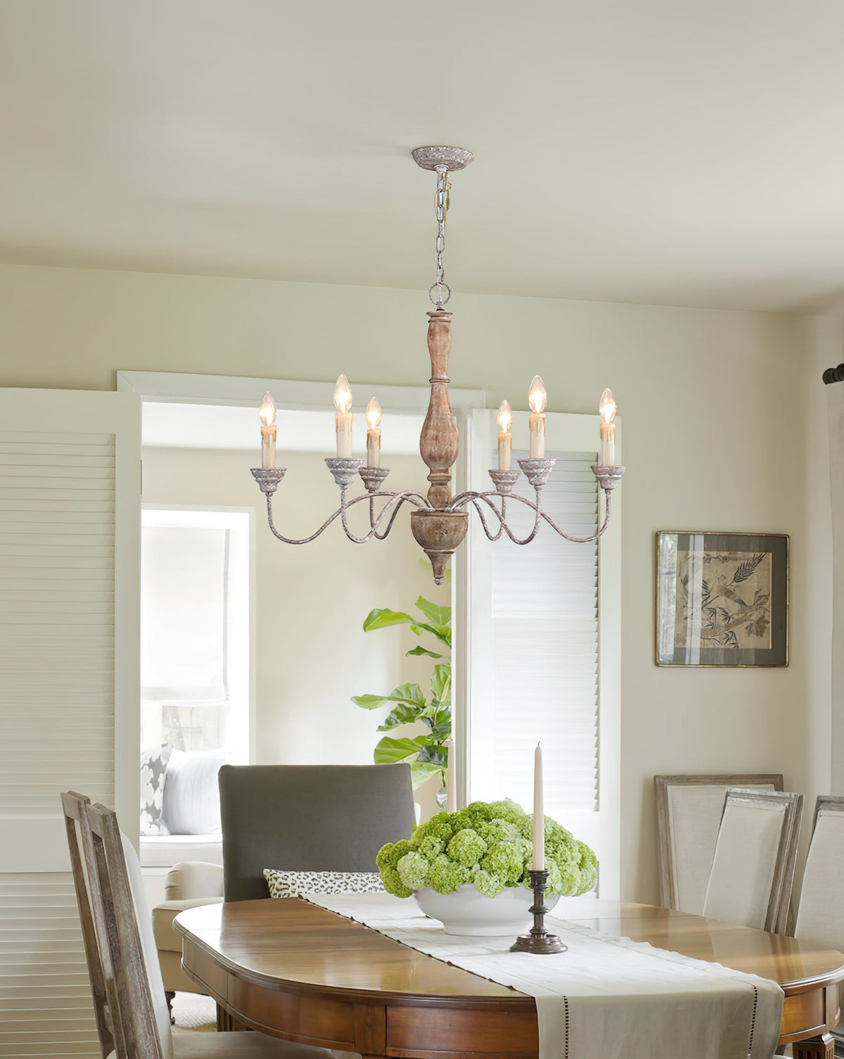 Eurloryra candelabru