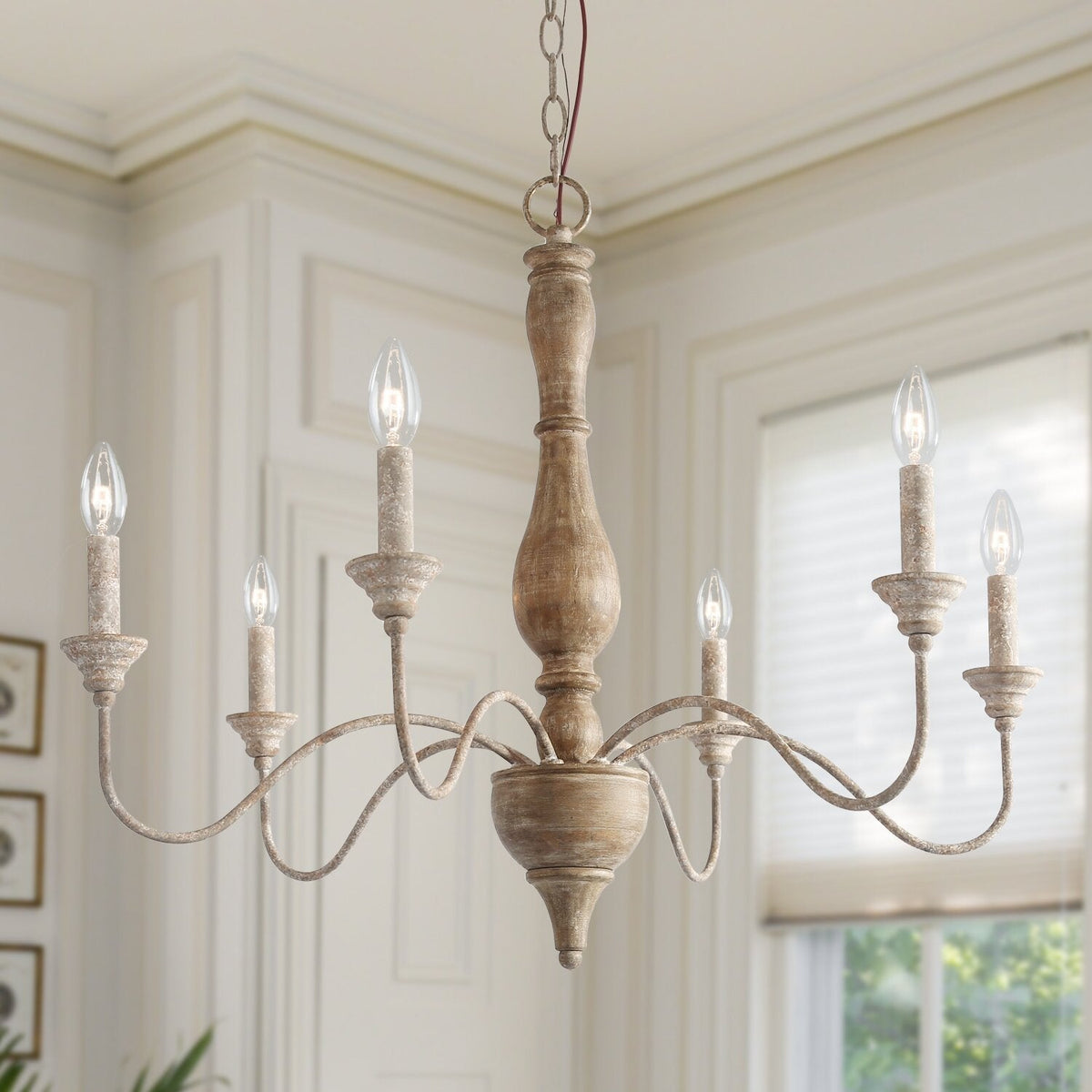 Eurloryra candelabru