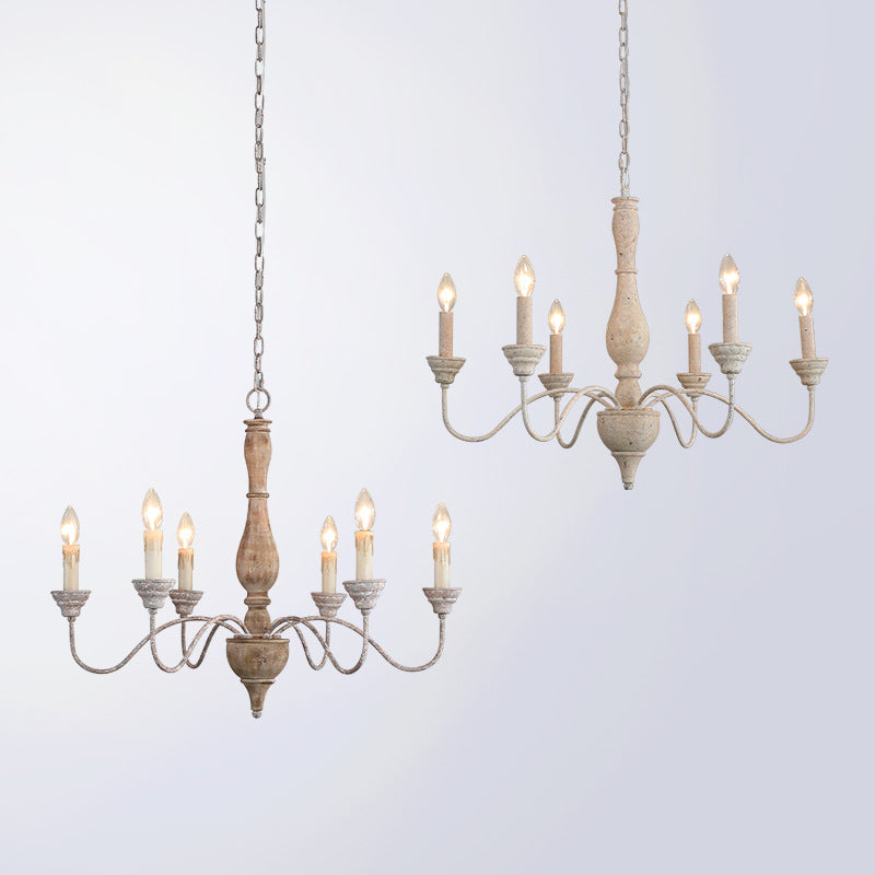 Eurloryra candelabru