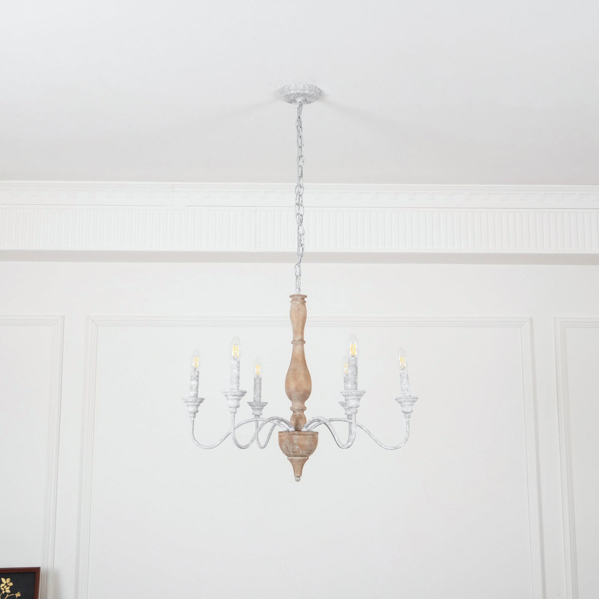 Eurloryra candelabru