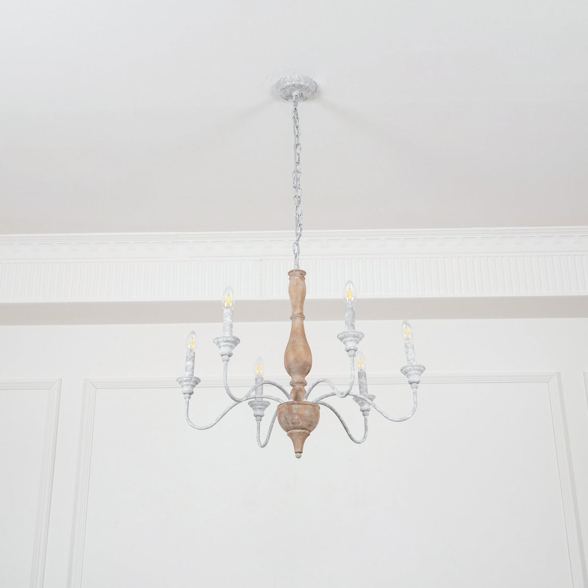 Eurloryra candelabru